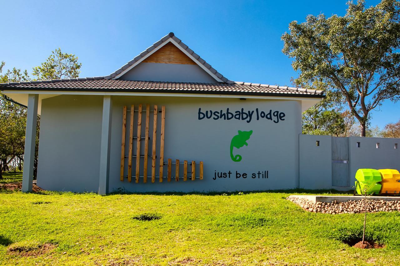 Bushbaby Lodge At Nkonyeni Манзини Екстериор снимка